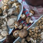 Mushroom Garum Noma: Fermentasi Jamur Untuk Rasa Umami
