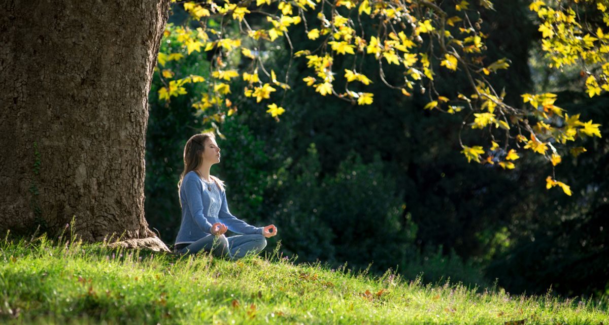 Manfaat Terapi Forest Bathing Untuk Menurunkan Hipertensi