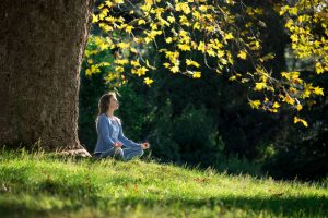 Manfaat Terapi Forest Bathing Untuk Menurunkan Hipertensi