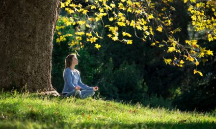 Manfaat Terapi Forest Bathing Untuk Menurunkan Hipertensi