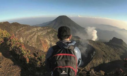 Jalur Gede Pangrango Ditutup Imbas Badai Di Suryakencana