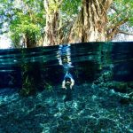 Umbul Tersembunyi Di Klaten Jadi Spot Prewedding Underwater