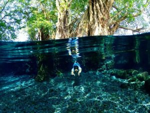 Umbul Tersembunyi Di Klaten Jadi Spot Prewedding Underwater