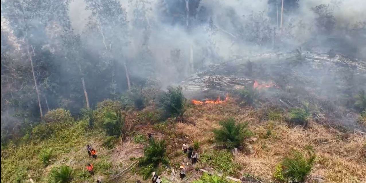 Ancaman Karhutla Sumatera: WALHI Evaluasi Kebijakan Asap