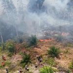 Ancaman Karhutla Sumatera: WALHI Evaluasi Kebijakan Asap
