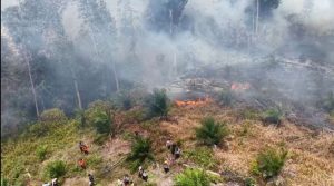 Ancaman Karhutla Sumatera: WALHI Evaluasi Kebijakan Asap