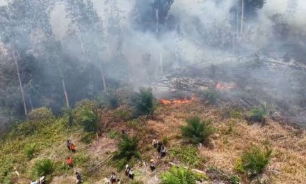 Ancaman Karhutla Sumatera: WALHI Evaluasi Kebijakan Asap