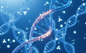 WHO Resmi Validasi Terapi Gene-Editing Untuk Anemia Sel Sabit